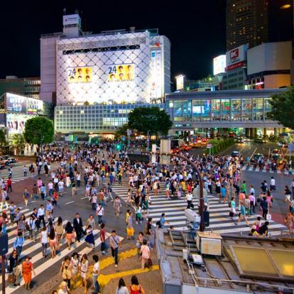 Voyage au Japon - Guide Professionnel / Tokyo Trip