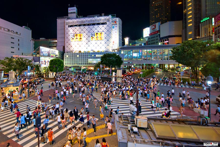 Voyage au Japon - Guide Professionnel / Tokyo Trip