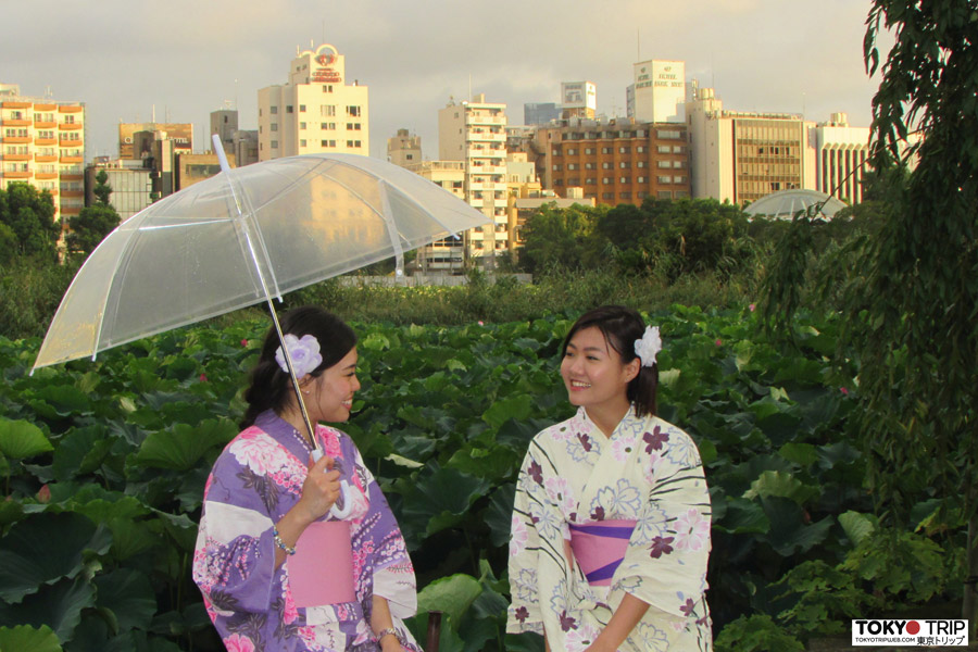 Voyage au Japon - Guide Professionnel / Tokyo Trip