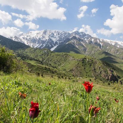 Voyage au Kazakhstan - Agence de Voyage Aratours Travel