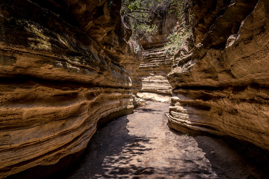 Voyage au Kenya - Agence de Voyage Locale Wild Routes of Kenya