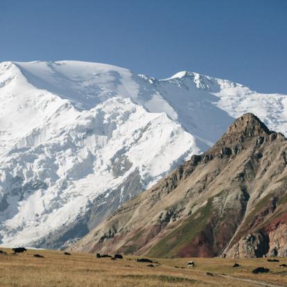 Voyage au Kirghizistan - Agence de Voyage Locale Travel Experts