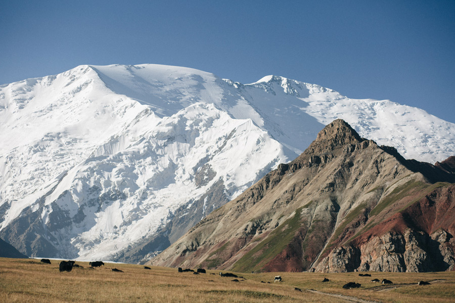 Voyage au Kirghizistan - Agence de Voyage Locale Travel Experts