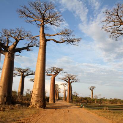 Voyage à Madagascar - Agence de Voyage Authentic Madagascar