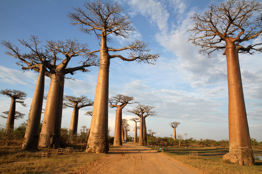 Voyage à Madagascar - Agence de Voyage Authentic Madagascar