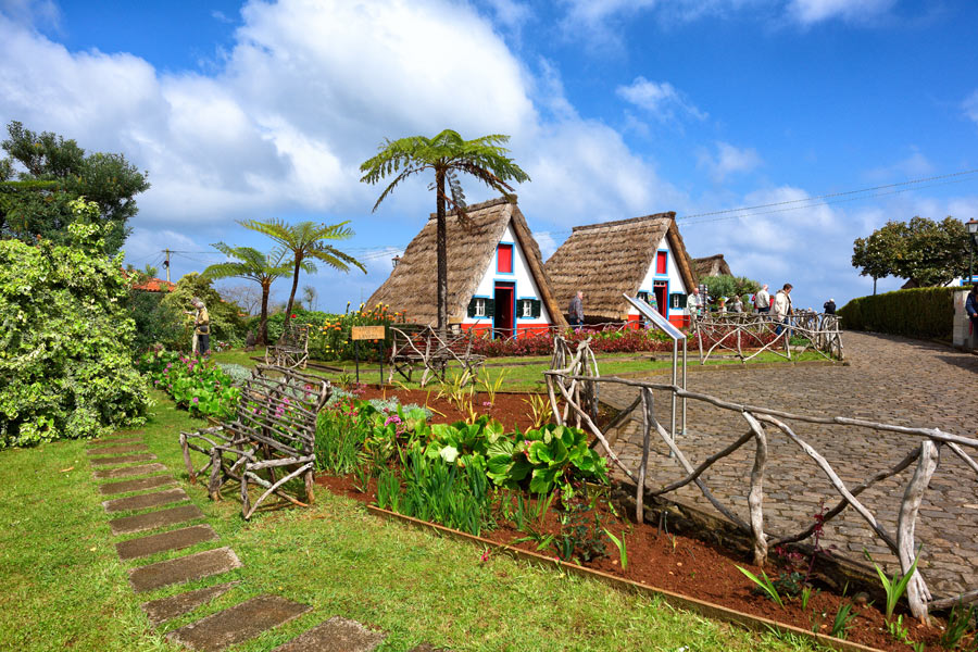 Voyage à Madère - Agence de Voyage Locale Terra Lusitania