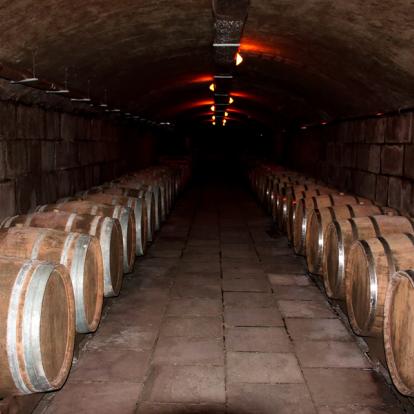 Voyage à Madère - Agence de Voyage Locale Terra Lusitania