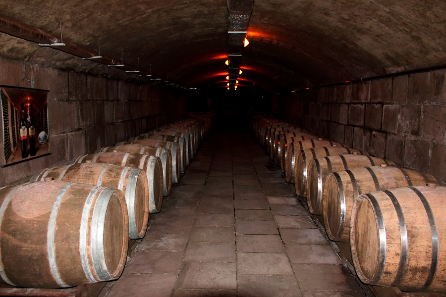 Voyage à Madère - Agence de Voyage Locale Terra Lusitania