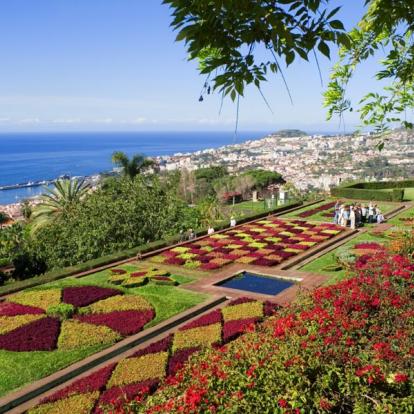 Voyage à Madère - Agence de Voyage Locale Terra Lusitania