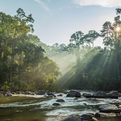 Voyage en Malaisie - Agence de Voyage Locale D.J.Paradise