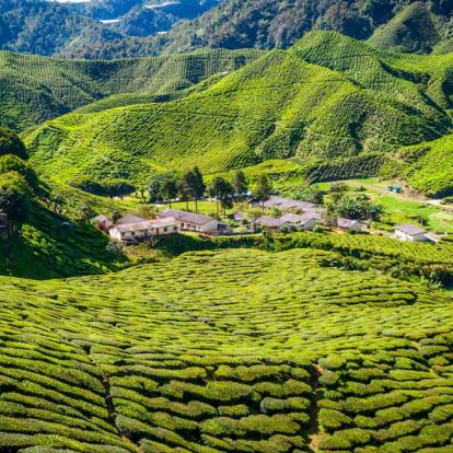 Voyage en Malaisie - Agence de Voyage Locale Pro eco Adventure