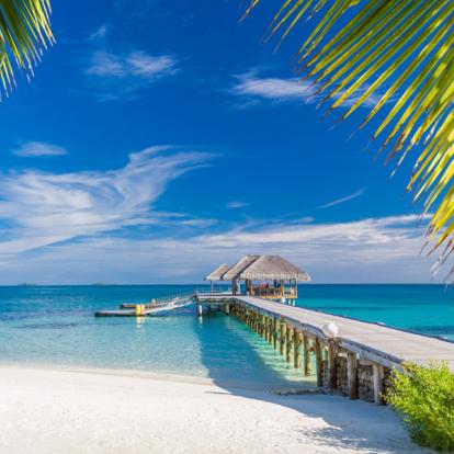 Voyage aux Maldives - Agence de Voyage Locale Acme Travel