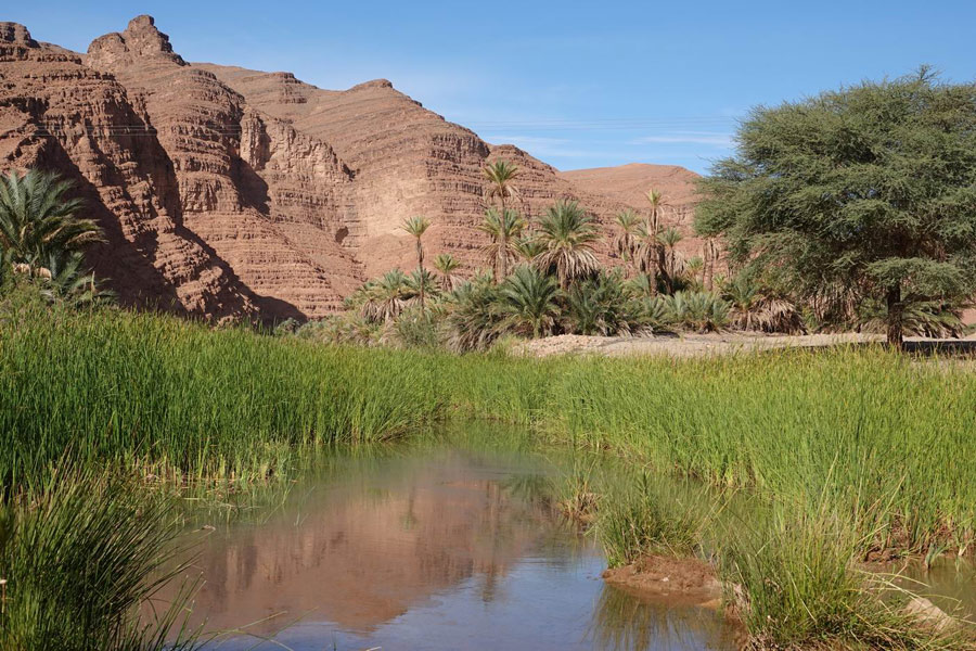 Voyage au Maroc - Agence de Voyage Locale Hors Circuit