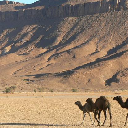 Voyage au Maroc - Agence de Voyage Locale Hors Circuit