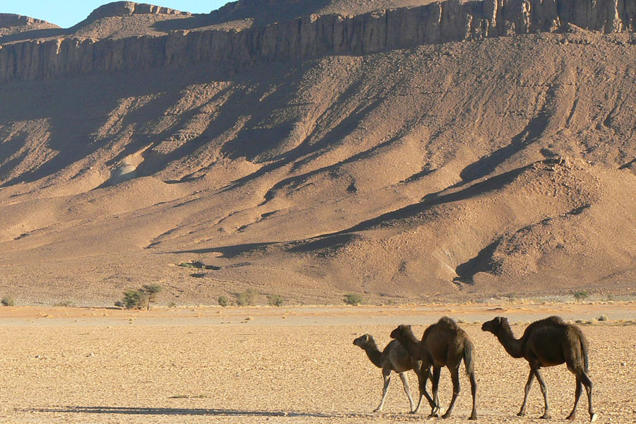 Voyage au Maroc - Agence de Voyage Locale Hors Circuit
