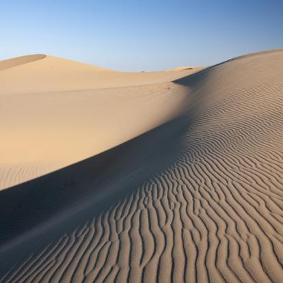 désert de Gobi - Dunes Chnatantes Voyage en Mongolie - Agence de Voyage Locale Wind of Mongolia