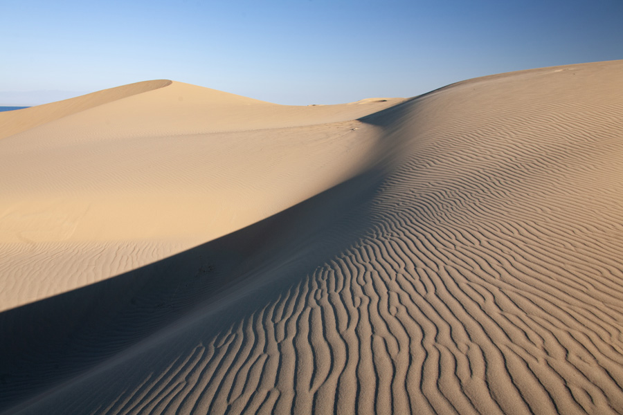 désert de Gobi - Dunes Chnatantes Voyage en Mongolie - Agence de Voyage Locale Wind of Mongolia