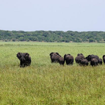 Maputo Special Reserve Voyage au Mozambique - Agence de Voyage Locale MozSensations