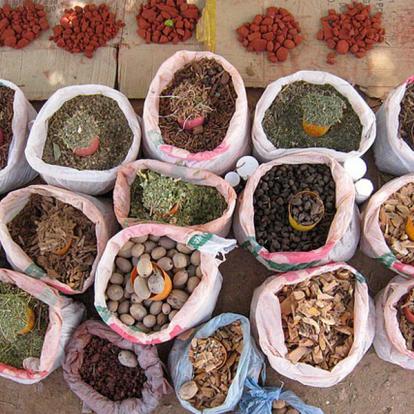 Voyage en Namibie - Agence de Voyage Locale Grandeur Nature Safaris