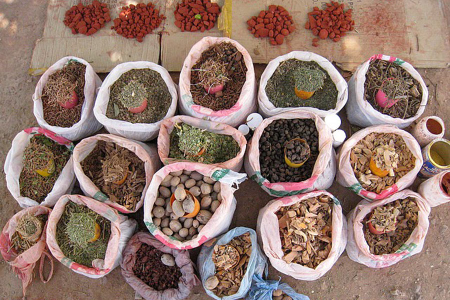 Voyage en Namibie - Agence de Voyage Locale Grandeur Nature Safaris