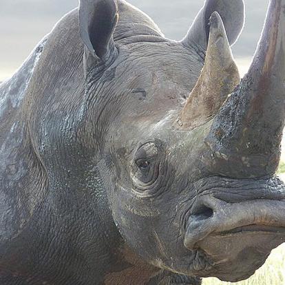 Voyage en Namibie - Agence de Voyage Locale Grandeur Nature Safaris