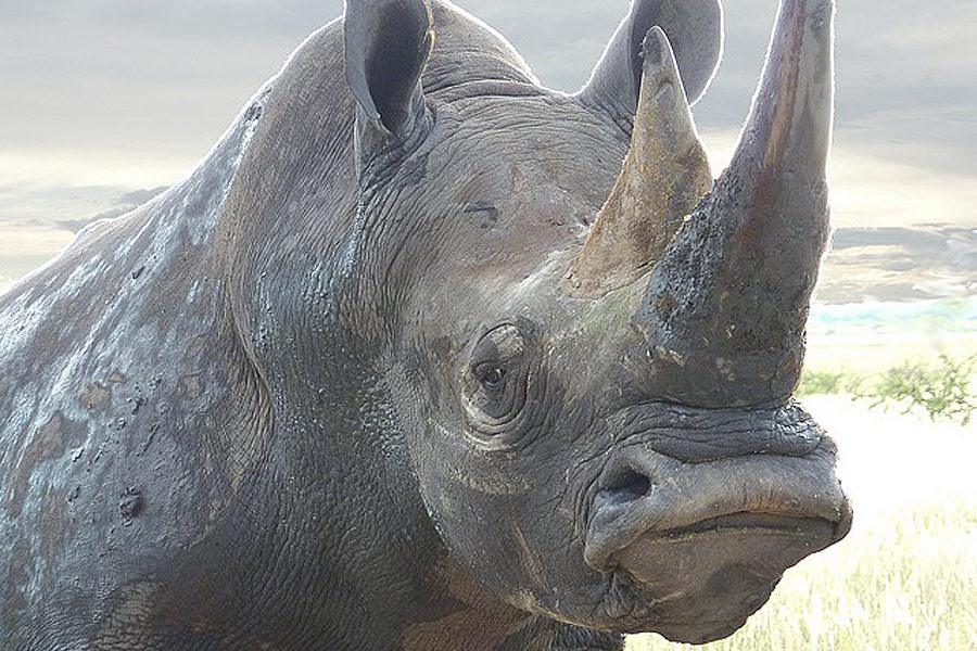 Voyage en Namibie - Agence de Voyage Locale Grandeur Nature Safaris