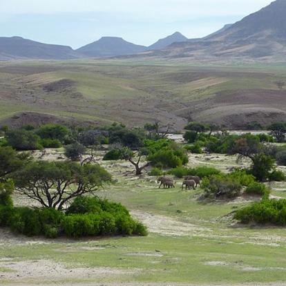 Voyage en Namibie - Agence de Voyage Locale Grandeur Nature Safaris