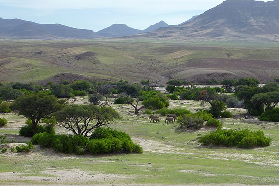 Voyage en Namibie - Agence de Voyage Locale Grandeur Nature Safaris
