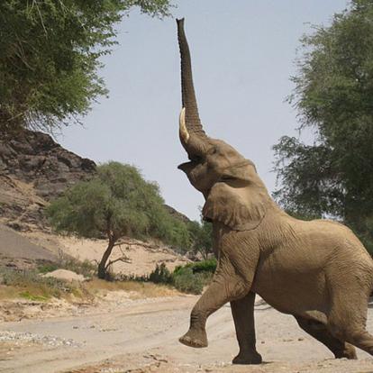 Voyage en Namibie - Agence de Voyage Locale Grandeur Nature Safaris