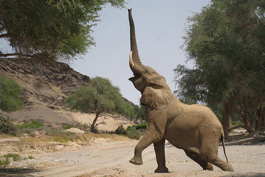 Voyage en Namibie - Agence de Voyage Locale Grandeur Nature Safaris