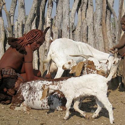 Voyage en Namibie - Agence de Voyage Locale Grandeur Nature Safaris