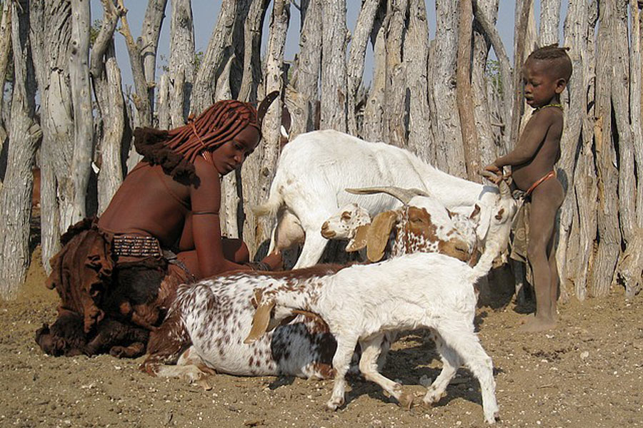 Voyage en Namibie - Agence de Voyage Locale Grandeur Nature Safaris