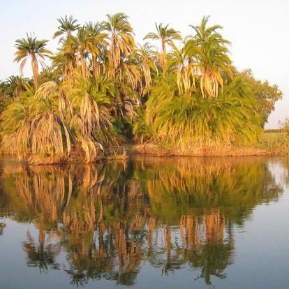 Voyage en Namibie - Agence de Voyage Locale Grandeur Nature Safaris