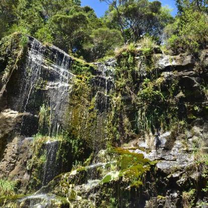 Voyage en Nouvelle-Zélande - Agence de Voyage Locale Frogs Voyages