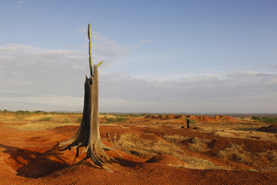 Voyage au Panama - Agence de Voyage Locale Tucaya Panama