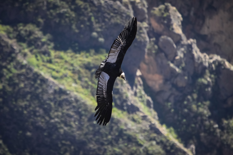 Voyage au Pérou - Agence de Voyage Locale Evasion Pérou