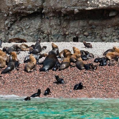Voyage au Pérou - Agence de Voyage Locale Terres Magiques des Incas