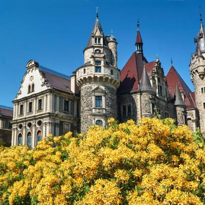 Voyage en Pologne - Agence de Voyage Locale Polish Wonders