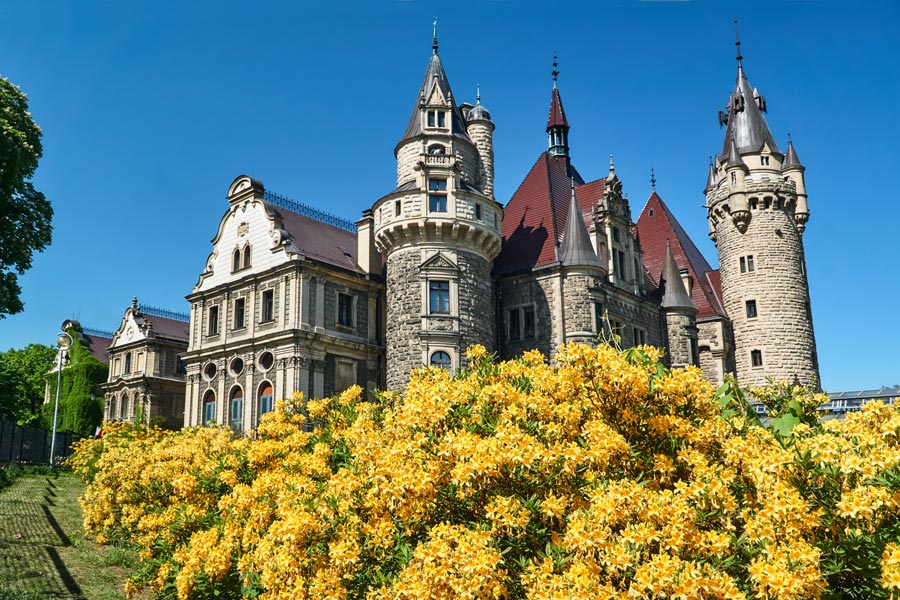 Voyage en Pologne - Agence de Voyage Locale Polish Wonders