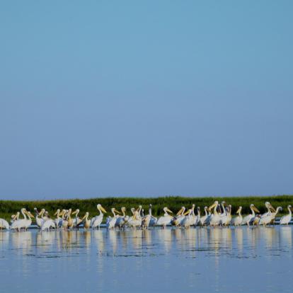 Voyage en Roumanie - Agence de Voyage Locale Explore Romania
