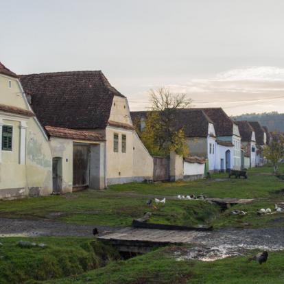 Voyage en Roumanie - Agence de Voyage Locale Explore Romania