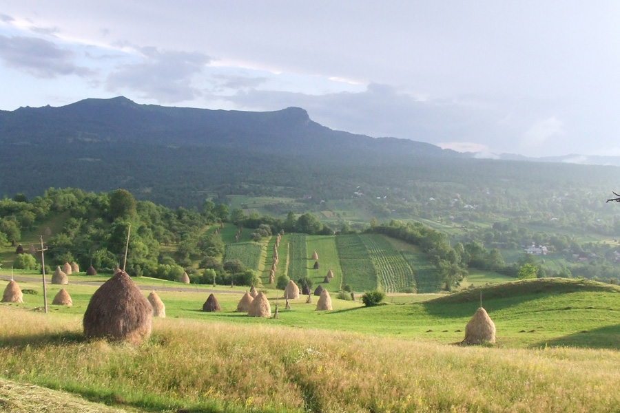 Voyage en Roumanie - Agence de Voyage Locale Explore Romania