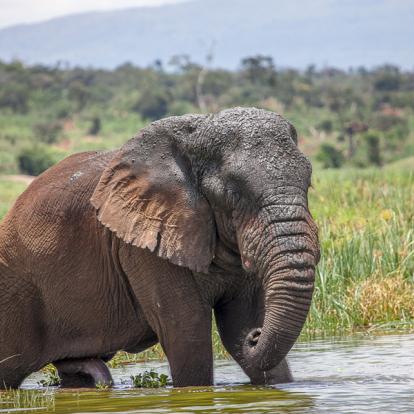 Voyage au Rwanda - Agence de Voyage Locale Mapendano