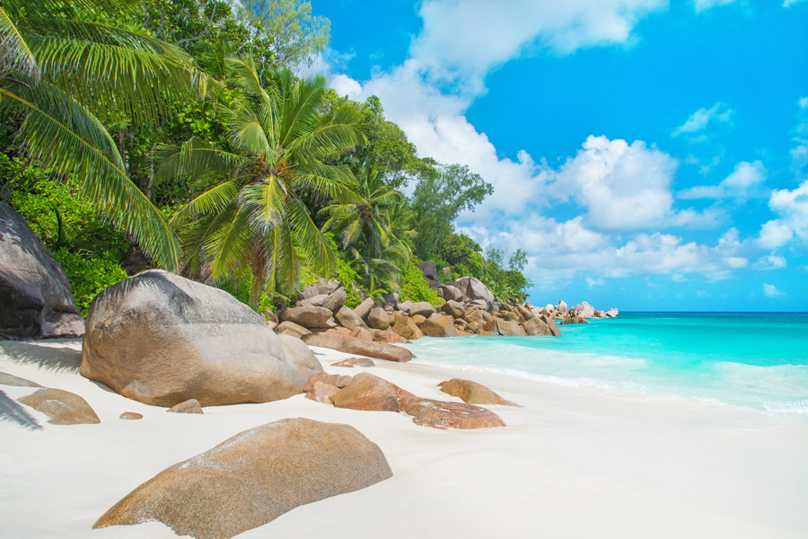Voyage aux Seychelles - Agence de Voyage Locale Seychelles Attitudes