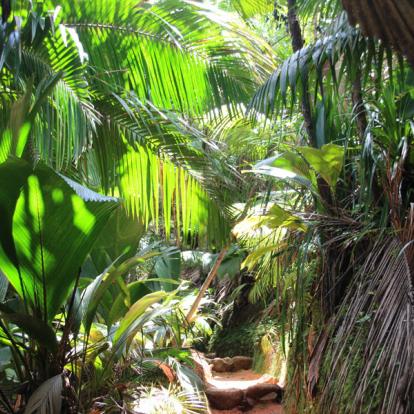 Voyage aux Seychelles - Agence de Voyage Locale Seychelles Attitudes