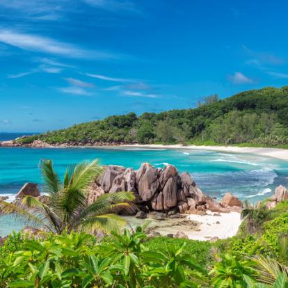Voyage aux Seychelles - Agence de Voyage Locale Seychelles Attitudes