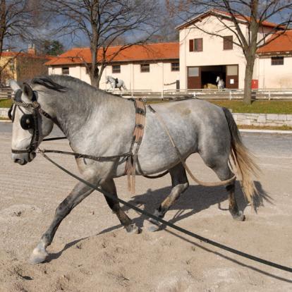 Voyage en Slovénie - Agence de Voyage Locale Randonnée Slovénie