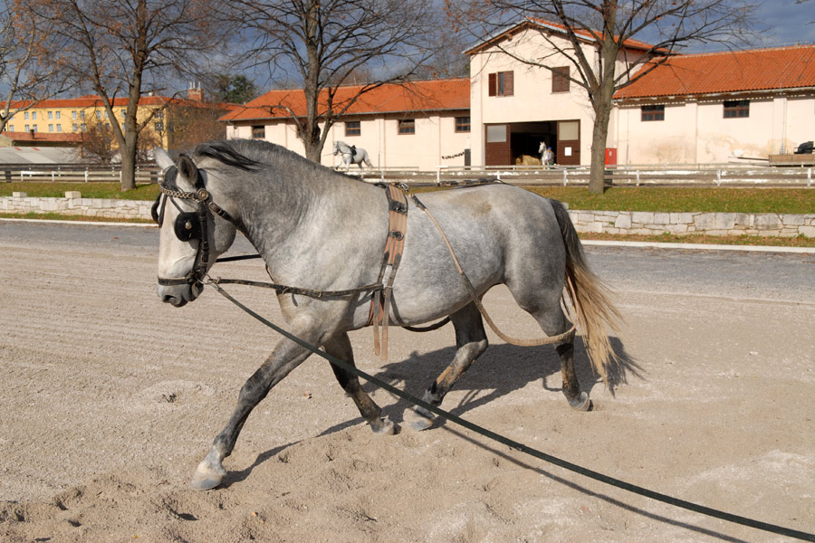 Voyage en Slovénie - Agence de Voyage Locale Randonnée Slovénie