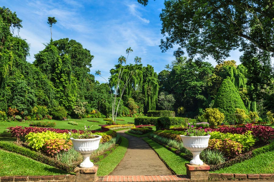 Voyage au Sri Lanka - Agence de Voyage Locale Acme Travels