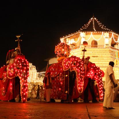 Voyage au Sri Lanka - Agence de Voyage Locale Acme Travels